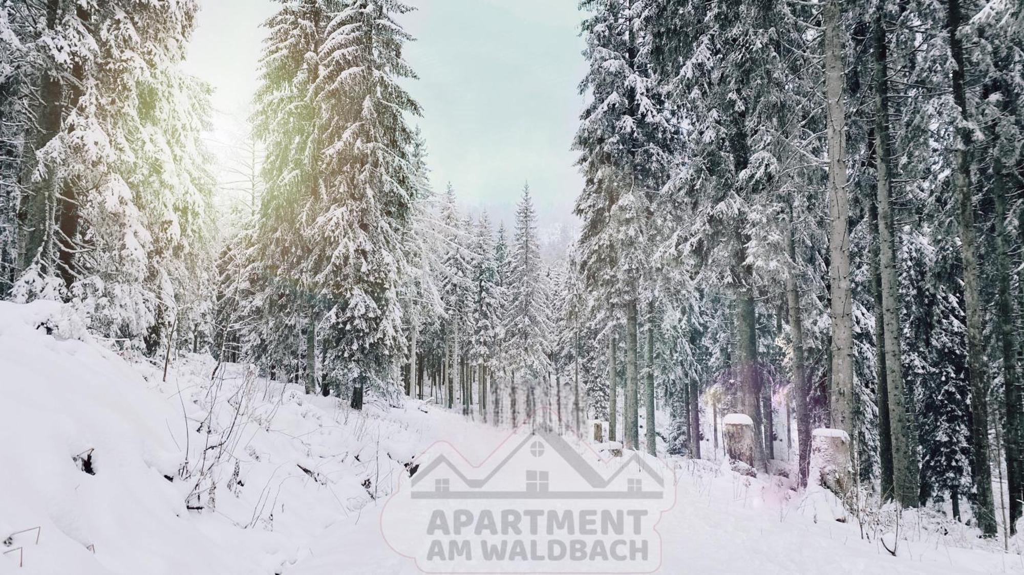Apartment Am Waldbach Gernsbach Extérieur photo